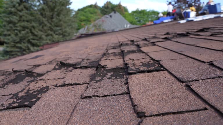 Best Roof Maintenance and Cleaning  in Claremont, NH